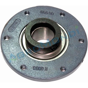 BEARING UNIT (RH)